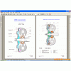 ZF 6 HP-19, 6 HP-26, 6 HP-32 Repair Manual